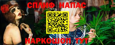 jwh Новозыбков