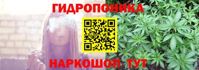 jwh Новозыбков