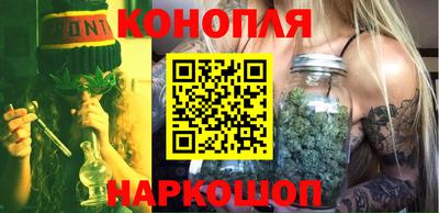 jwh Новозыбков