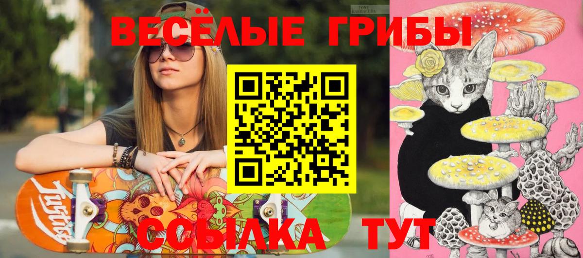 Галлюциногенные грибы Psilocybe Сызрань